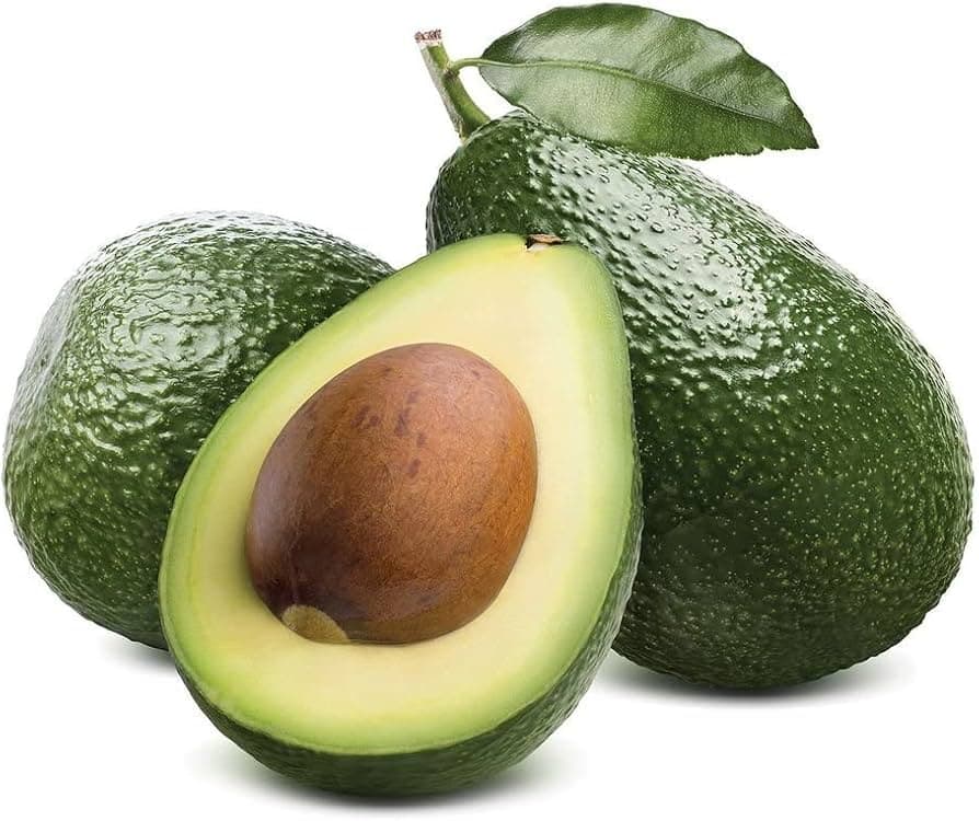 Avocado